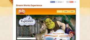 dream works experience