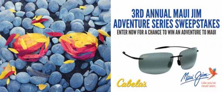 cabelas-promotion