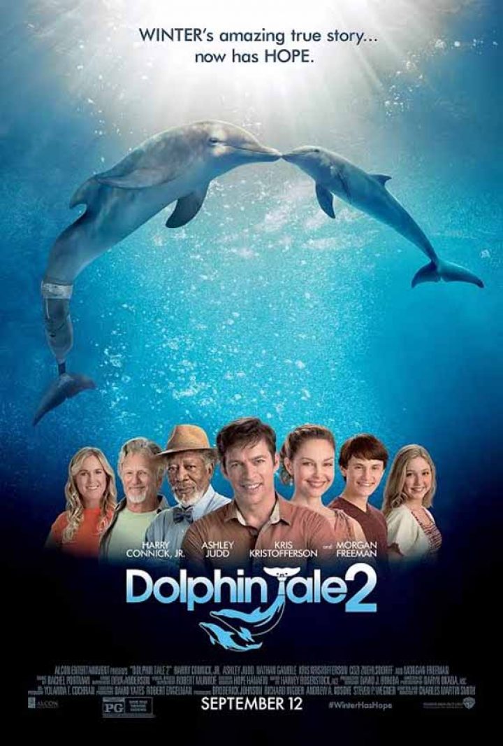 dolphintale2