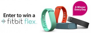 fitbit-flex