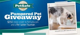 petsafe