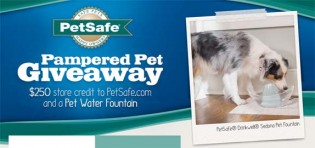 petsafe