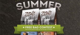zoe 60 days of summer