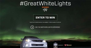 greatwhitelights