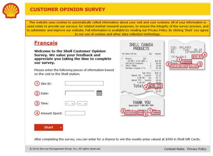 shell survey