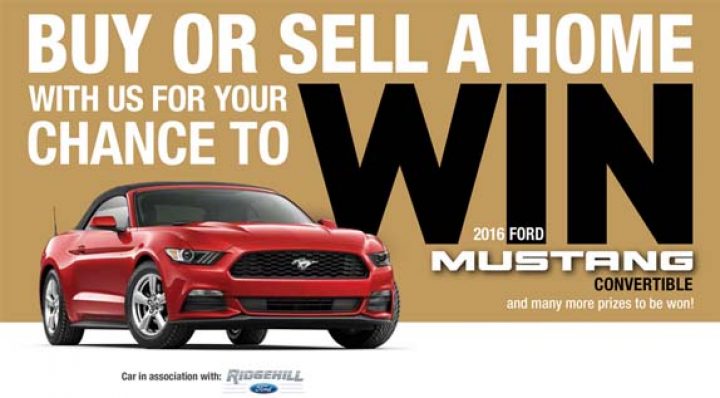 ford mustang contest