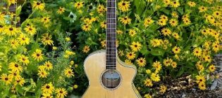 moore-guitar