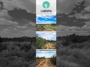 landopia-sweepstakes