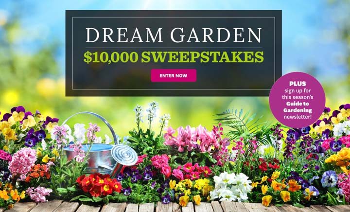 Better Homes And Gardens 10 000 Sweeps Bhg Com 10kspring