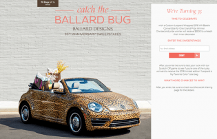 catch-the-ballard-bug-sweepstakes