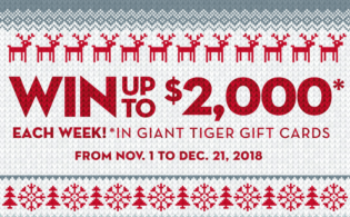 giant-tiger-contest