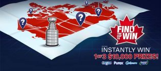 SpongeTowels Find the Cup & Win Contest