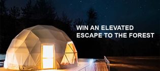 Nespresso Festive Contest