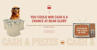 Bush’s Beans can Film Fest Contest