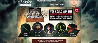 Young Sheldon Young Dumbledore Sweepstakes