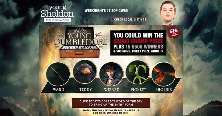 Young Sheldon Young Dumbledore Sweepstakes