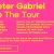 Sirius XM Insiders Ultimate Peter Gabriel Fan Experience Contest